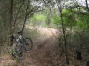 Mud Creek