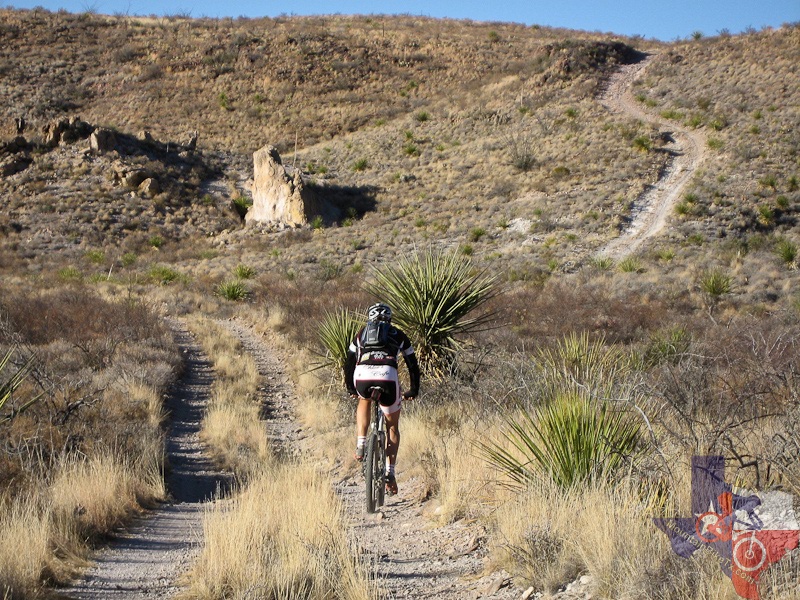 Big bend best sale mountain biking