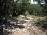 Typical Hill Country trail on the way in