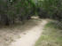 A little more wide, but smooth, singletrack