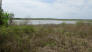 Another view of Lake Somerville from the trail