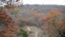 Fall foliage over Lone Wolf Trail (photo courtesy of FWMBA)