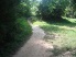 Peaceful singletrack through the treeline (photo courtesy of TerryHersheyPark.org)