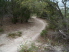 Fast and flowing singletrack (photo courtesy of EastTexasBill)